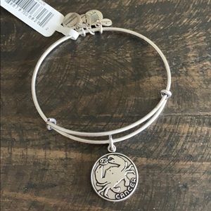 ⚙️TARNISHED ALEX AND ANI⚙️